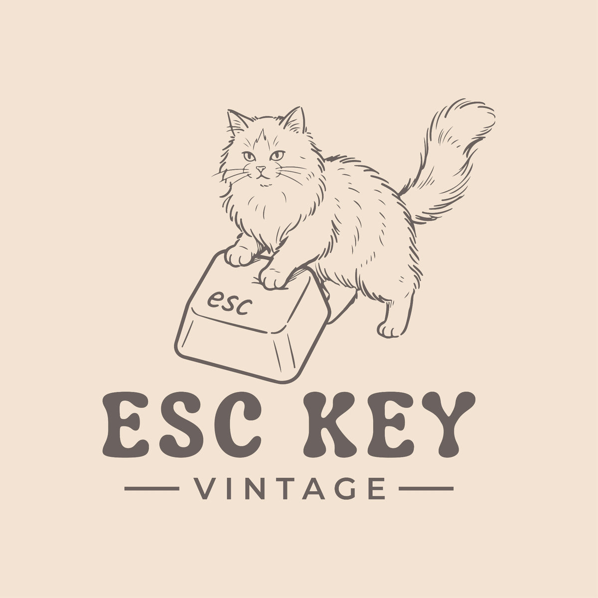 Esc Key Vintage